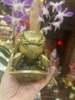 Tượng Túi Vàng Cua Cá - Bát Quái Đồng Vàng 12x8cm [G3-PT9068]