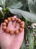 Chuỗi Tay Gỗ Hoàng Đàn 18 Ly-44gr-