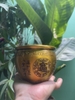 Lư Bầu Trung Cắm Nhang Hoặc Cúng Khói11x14,5