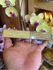 Nhang Không Tăm Nepal_Paljor Healing_14cm_hộp 5 Ống_14 Cây/Ống