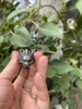 Nhẫn ngài naga(rồng)siez 8,10,11