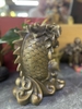 Cá Hoá Rồng Lớn 26x20 cm-CN 3,5 kg