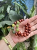 Chuỗi Tay Tử Đàn Kết Hợp Hạt Bạch Ngọc Trai Khắc Thần Chú ommani 12 ly-15 gr!