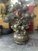 Cây Tiền Dạ Cổ_19cm_Tượng Phong Thủy