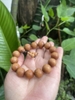 Chuỗi Tay Hoàng Đàn 15 Ly-30 gr!