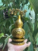 Hồ Lô Kỳ Lân-Hoá Sát-Ngũ Hoàng-20x10cm