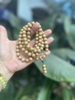 Chuỗi 108 Gỗ Bạch Đàn Hương -10 ly-47gr TKTB-CG1388