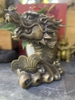 Cá Hoá Rồng Lớn 26x20 cm-CN 3,5 kg