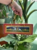 Thùng Giấy Ngựa Báu -giấy Nhỏ-40 xấp-26x11cm!