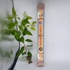 Nhang Cam Lồ Hương(cúng sur)hộp 50 cây dài 39cm