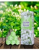 Nhang Ấn Độ Hoa Lài_23cm_Lốc 6 Hộp_20 Cây/Hộp