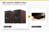 Ghép Streamer Cho KEF Coda W: WiiM Mini, Pro Plus, Ultra — Chọn Cái Nào?