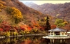 HÀN QUỐC MÙA LÁ ĐỎ 5 NGÀY 4 ĐÊM: HÀ NỘI – SEOUL – EVERLAND – NAMI