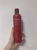 dau-goi-phuc-hoi-toc-innisfree-camellia-essential-shampoo-300ml