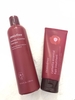 combo-dau-goi-phuc-hoi-toc-innisfree-camellia-essential-shampoo-dau-xa-innisfree