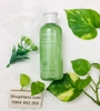 nuoc-hoa-hong-cho-da-dau-mun-hon-hop-innisfree-green-tea-balancing-skin-ex-200ml