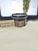 tay-te-bao-chet-coffee-sugar-body-scrub-organic-shop-250ml