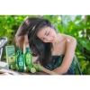 Dầu gội tinh dầu Quả Chanh Thái ( trái chúc ) ngăn ngừa Rụng Tóc, Giảm Gàu Falles