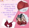 Áo ngực quả to Siterhood 2530 cup D
