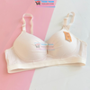 Áo ngực cho con bú BeeNa 523 Thái Lan, Chống Chảy Xệ cho Mẹ Bầu và sau sinh