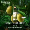 Dầu Dưỡng Tóc Naturals By Watsons True Natural Chiết Xuất Olive 100ml