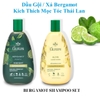 Dầu Gội / Xả Bergamot Kích Thích Mọc Tóc Thái Lan - Chai 400ml