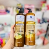 Dầu Gội tinh chất Gừng Boots Nature's Series Ginger Thái Lan