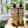 Dầu Gội tinh chất Gừng Boots Nature's Series Ginger Thái Lan