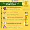 Dầu thập tự vàng Thái Lan Gold Cross Yellow Oil 15cc