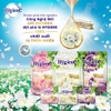 Xả vải đậm đặc Hygien túi