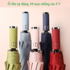 Ô Dù tự động 10 nan chống tia UV DGTD