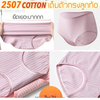 🌸 Quần Lót Nữ Cotton Cao Cấp Bee Na 2507 – Cotton Co Giãn, Thoáng Mát, Size 2XL