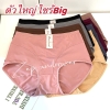 Quần Lót nữ siêu to big size 4XL  SISTERHOOD 776 Chất thun lạnh mềm mại