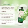 Dầu gội Kerasys Hàn Quốc 1000ml