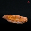 ĐĨA LŨA DL0035