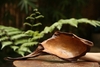 BÁT LŨA NGỌC AM BAT16