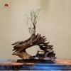 TIỂU CẢNH MN0457