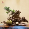 TIỂU CẢNH MN0457