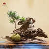 TIỂU CẢNH MN0457