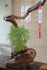 TIỂU CẢNH THIỀN MN0787