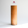 BÌNH LŨA Basic BIN01