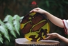 KHAY LŨA - KHAY LŨA EPOXY KHAY001