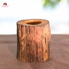 ỐNG ĐỰNG TRÀ CỤ DTC001