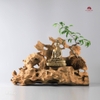 Tiểu Cảnh Thiền MN0054