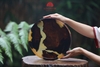 KHAY LŨA - KHAY LŨA EPOXY KHAY001