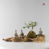 Tiểu Cảnh Thiền MN0101