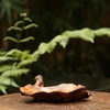 BÁT LŨA NGỌC AM BAT19