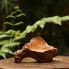 BÁT LŨA NGỌC AM BAT20