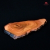 ĐĨA LŨA DL0042