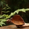 BÁT LŨA NGỌC AM BAT20